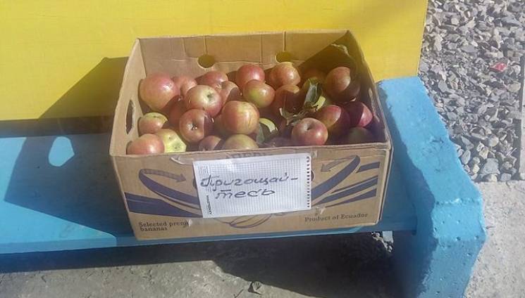 Прикарпатець безкоштовно частує яблуками…
