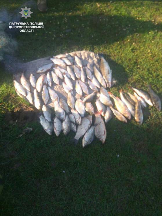На Дніпропетровщині затримали рибалку-бр…