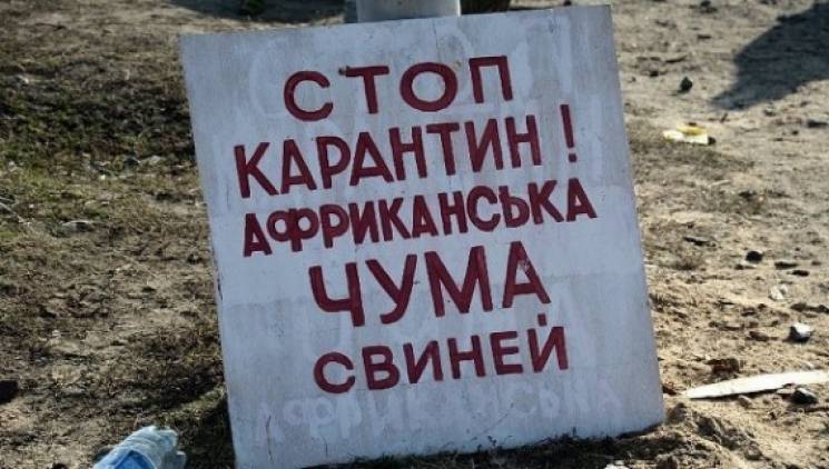 Харьковский фермеров предупредили о чумн…