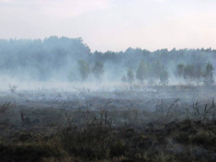 Чернігівщина в диму: В області масово го…