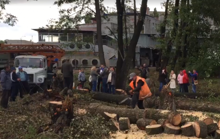 В Днипре продолжили вырубку деревьев под…