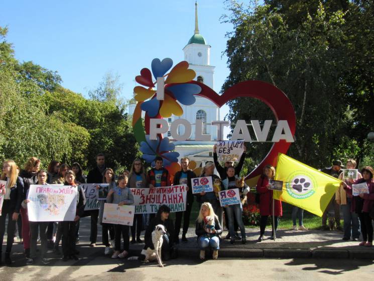 Захистити чотирилапих: У Полтаві відбувс…