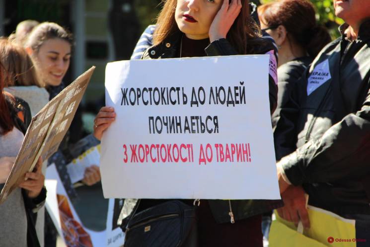 В Одессе прошла акция за права животных…